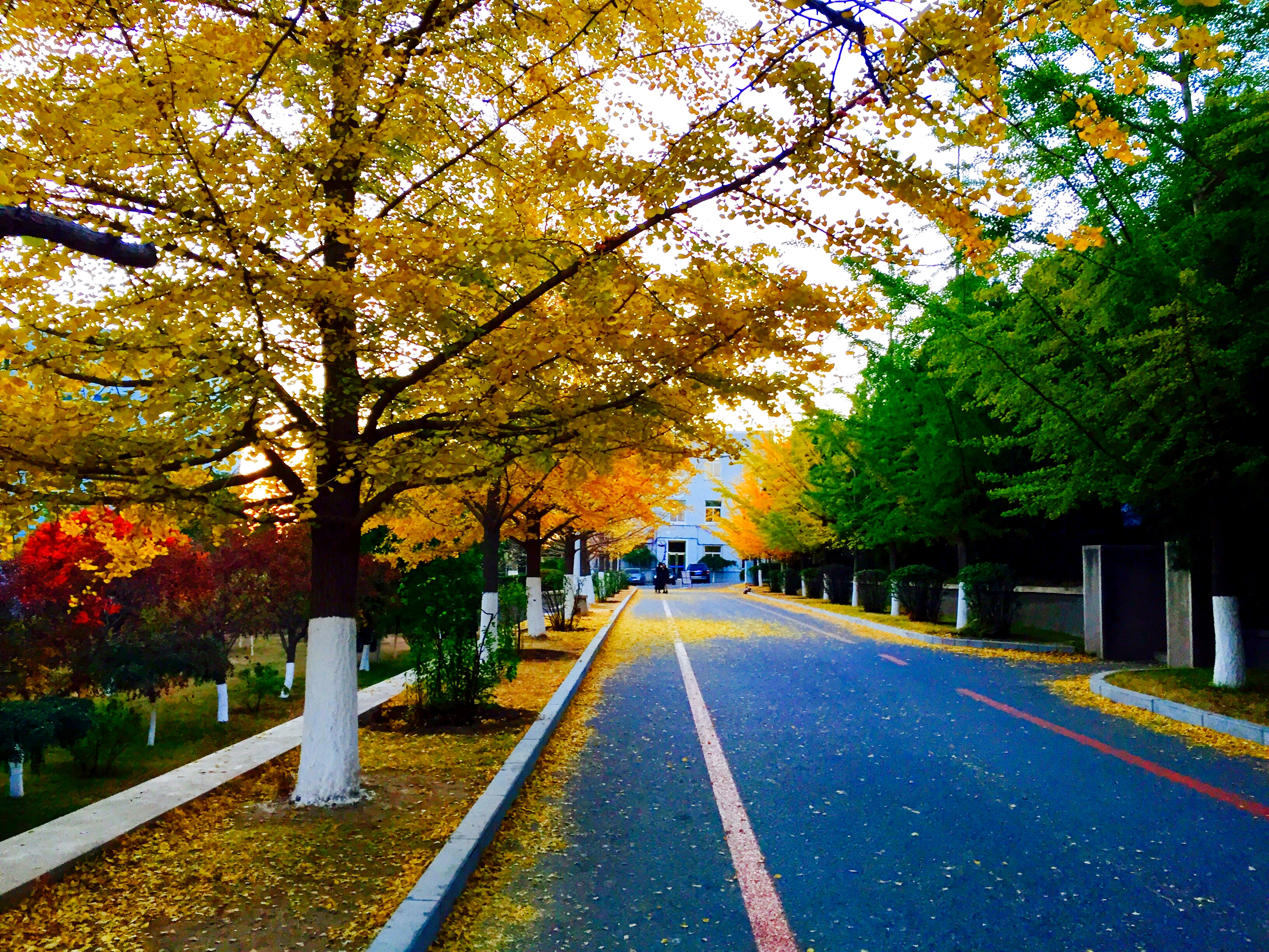 孙乾坤 外语学院-网络管理中心